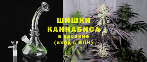 ГАЛЛЮЦИНОГЕННЫЕ ГРИБЫ Балабаново